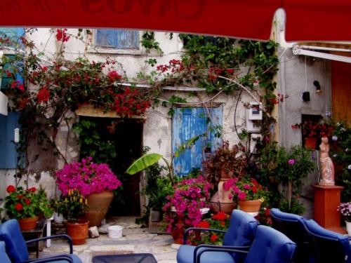 OLYMPUS DIGITAL CAMERA